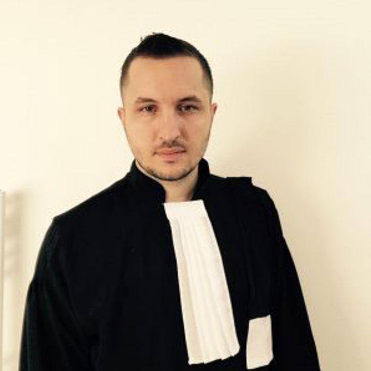 Profesionalism, Loialitate, Calitate, Eficienţă, Promptitudine